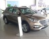 Hyundai Santa Fe 2017 - Giá Santa Fe 7 chỗ máy dầu, bản tiêu chuẩn 2017