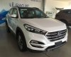 Hyundai Tucson 2.0AT 2017 - Bán Hyundai Tucson 2.0AT đời 2017, màu trắng