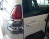 Toyota Prado  GX 2.0 2006 - Toyota Prado GX 2.0,máy dầu, số sàn, 2 cầu, màu trắng, sản xuất 2006