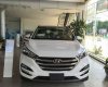 Hyundai Tucson 2.0AT 2017 - Bán Hyundai Tucson 2.0AT đời 2017, màu trắng