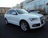 Audi Q5 Premium Plus 2017 - Bán xe Audi Q5 Premium Plus sản xuất 2017, màu trắng, nhập khẩu trực tiếp, giá tốt nhất thị trường - LH 0902.00.88.44