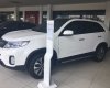 Kia Sorento 2017 - Bán ô tô Kia Sorento đời 2017, màu trắng, nhập khẩu nguyên chiếc