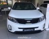 Kia Sorento 2017 - Bán ô tô Kia Sorento đời 2017, màu trắng, nhập khẩu nguyên chiếc