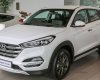 Hyundai Tucson 2017 - Cần bán xe Hyundai Tucson 2017, màu trắng, nhập khẩu nguyên chiếc