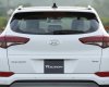 Hyundai Tucson 2017 - Cần bán xe Hyundai Tucson 2017, màu trắng, nhập khẩu nguyên chiếc