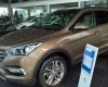Hyundai Santa Fe 2017 - Cần bán xe Hyundai Santa Fe, màu nâu, giao ngay