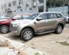 Ford Everest  2.2 Titanium 2017 - Bán Ford Everest Titanium đời 2017, màu vàng, nhập khẩu nguyên chiếc