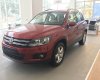 Volkswagen Tiguan 2017 - Bán Volkswagen Tiguan đời 2017, màu đỏ, xe nhập khẩu nguyên chiếc giao ngay - LH 0965.156.561