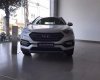 Hyundai Santa Fe 2017 - Bán Hyundai Santa Fe đời 2017, màu trắng 