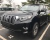 Toyota Prado VX 2017 - Bán Toyota Prado năm 2017 màu đen, giá tốt nhập khẩu nguyên chiếc giao ngay LH: 0982156767