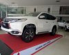 Mitsubishi Pajero 3.0 2017 - Bán xe Mitsubishi Pajero 3.0 đời 2017, màu trắng, xe nhập