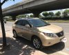 Lexus RX350 2010 - Bán xe Lexus RX350 đời 2010, màu vàng, xe nhập, chính chủ