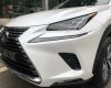 Lexus NX NX 300 2017 - Bán Lexus NX 300 đời 2017, màu trắng giao ngay. LH 0985102300