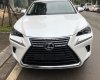 Lexus NX 300 2017 - Bán Lexus NX đời 2017 màu trắng, xe nhập giao ngay quý khách hàng, LH: 0982156767