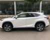 Lexus NX NX 300 2017 - Bán Lexus NX 300 đời 2017, màu trắng giao ngay. LH 0985102300