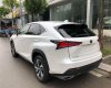 Lexus NX 300 2017 - Bán Lexus NX đời 2017 màu trắng, xe nhập giao ngay quý khách hàng, LH: 0982156767