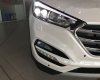 Hyundai Tucson 2017 - Bán ô tô Hyundai Tucson đời 2017, màu trắng, 900tr