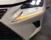 Lexus NX  300 2017 - Bán Lexus NX 300 đời 2017, màu trắng, xe nhập