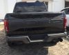 Ford F 150   2017 - Bán xe Ford F 150 năm 2017, màu đen, nhập khẩu nguyên chiếc