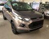 Ford EcoSport 2018 - Bán Ford EcoSport đời 2018, xe nhập