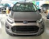 Ford EcoSport 2018 - Bán Ford EcoSport đời 2018, xe nhập