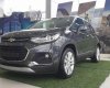 Chevrolet Trax    2018 - Cần bán xe Chevrolet Trax sản xuất 2018, màu xám, nhập khẩu