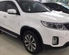 Kia Sorento 2017 - Bán ô tô Kia Sorento đời 2017, màu trắng, xe nhập