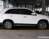 Kia Sorento 2017 - Bán Kia Sorento đời 2017, màu trắng, nhập khẩu, giá 939tr