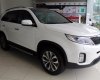 Kia Sorento 2017 - Bán Kia Sorento đời 2017, màu trắng, nhập khẩu, giá 939tr