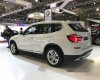 BMW X3 xDrive 20i 2018 - Bán xe BMW X3 xDrive 20i đời 2018, màu trắng, nhập khẩu