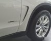 BMW X5 xDrive 35i 2018 - Bán BMW X5 xDrive 35i năm 2018, màu trắng, xe nhập