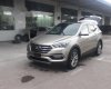 Hyundai Santa Fe 2017 - Bán xe Hyundai Santa Fe đời 2017, màu trắng, 898tr