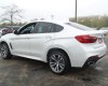 BMW X6 35i 2017 - Bán BMW X6 XDrive 35i năm 2017, màu đen