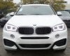 BMW X6 35i 2017 - Bán BMW X6 XDrive 35i năm 2017, màu đen