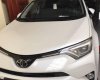 Toyota RAV4 2017 - Bán ô tô Toyota RAV4 đời 2017, màu trắng, nhập khẩu nguyên chiếc