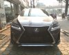 Lexus RX 350 Fsport 2015 - Cần bán xe Lexus RX350 Fsport đời 2016, màu xám (ghi), xe nhập Mỹ giá tốt. LH: 0948.256.912