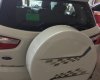 Ford EcoSport SVP 2017 - Cần bán gấp xe Ford EcoSport SVP năm 2017