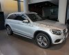 Mercedes-Benz GLC-Class GLC 250 2017 - Bán Mercedes GLC 250 đời 2017, màu bạc