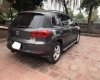 Volkswagen Tiguan 2.0TSI 2014 - Cần bán Volkswagen Tiguan 2.0TSI 2014, màu xám, nhập khẩu, 850 triệu