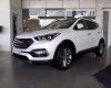 Hyundai Santa Fe 2.4 2017 - Bán xe Hyundai Santa Fe sản xuất 2017, màu trắng giá tốt - LH: 0939593770