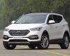 Hyundai Santa Fe 2017 - Bán xe Hyundai Santa Fe đời 2017, màu trắng, nhập khẩu chính hãng