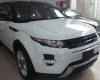 LandRover Evoque 2014 - Bán LandRover Evoque đời 2014, màu trắng, nhập khẩu chính hãng