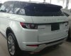 LandRover Evoque 2014 - Bán LandRover Evoque đời 2014, màu trắng, nhập khẩu chính hãng