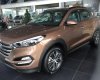 Hyundai Tucson Limited 2.0 AT AWD 2017 - Cần bán Hyundai Tucson Limited 2.0 AT AWD đời 2017, màu nâu, nhập khẩu giá cạnh tranh