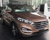 Hyundai Tucson Limited 2.0 AT AWD 2017 - Cần bán Hyundai Tucson Limited 2.0 AT AWD đời 2017, màu nâu, nhập khẩu giá cạnh tranh