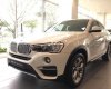 BMW X4 xDriver20i 2017 - Bán BMW X4 xDriver20i đời 2017, màu trắng, nhập khẩu