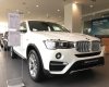 BMW X4 xDriver20i 2017 - Bán BMW X4 xDriver20i đời 2017, màu trắng, nhập khẩu