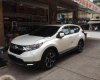 Honda CR V L 2018 - Bán Honda CR V 1.5L đời 2018, màu trắng, nhập khẩu  