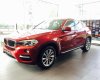 BMW X6   2017 - Bán BMW X6 2017, màu đỏ, nhập khẩu