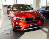 BMW X6   2017 - Bán BMW X6 2017, màu đỏ, nhập khẩu